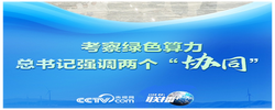 联播+｜考察绿色算力 总书记强调两个“协同”