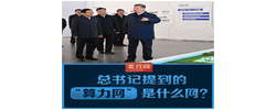 此行间·总书记提到的“算力网”是什么网？