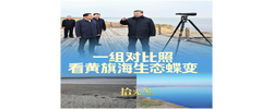 拾光纪·一组对比照，看黄旗海生态蝶变