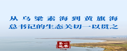 第一观察丨从乌梁素海到黄旗海 总书记的生态关切一以贯之