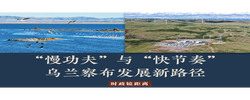 时政镜距离｜“慢功夫”与“快节奏”，乌兰察布发展新路径