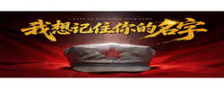 我想记住你的名字