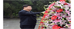 【讲习所·我们的长征路】大别山深处的“红”与“绿”