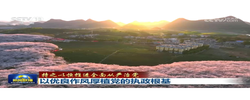 【持之以恒推进全面从严治党】以优良作风厚植党的执政根基
