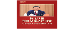 此行间·持之以恒推进全面从严治党，总书记在多次讲话中指引方向