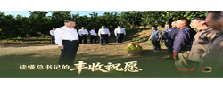 一见·读懂总书记的丰收祝愿