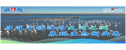 【讲习所·追光的你】习近平惦记的大河之洲展现生态新画卷