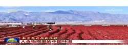 【新思想引领新征程】大食物观里的中国味道