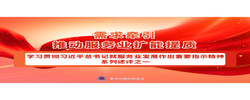 深入学习领会总书记对服务业发展的指引