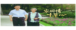 时政微视频丨家国情 寸草心