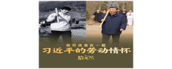 拾光纪·习近平的劳动情怀