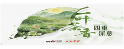 天天学习｜一叶茶香 四重深意