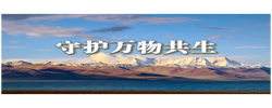 微视频｜守护万物共生