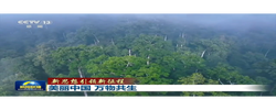 新思想引领新征程丨美丽中国 万物共生