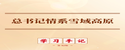 学习手记｜总书记情系雪域高原