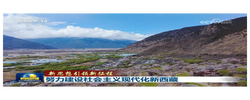 【新思想引领新征程】努力建设社会主义现代化新西藏