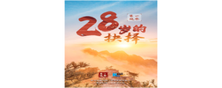 第一观察 | 28岁的抉择