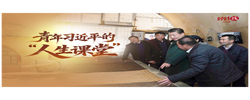 经纬线·青年习近平的“人生课堂”