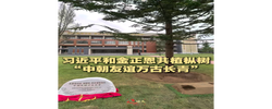 近镜头｜习近平和金正恩共植枞树