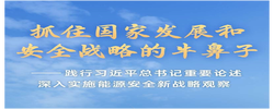 践行习近平总书记重要论述深入实施能源安全新战略