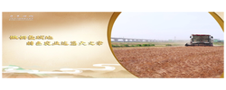 【习声回响】做好盐碱地特色农业这篇大文章