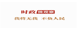 时政微观察丨我将无我 不负人民