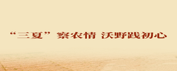 第一观察｜“三夏”察农情 沃野践初心