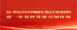 总书记谆谆嘱托基层党组织进一步发挥党建引领作用