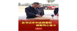 近镜头｜总书记手中这把麦粒凝聚同心奋斗