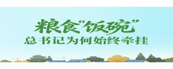 一见·粮食“饭碗”，总书记为何始终牵挂