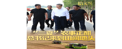 拾光纪·“三夏”农事正酣，总书记来到田间地头