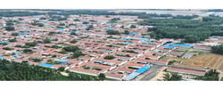 学习新语｜发挥党建引领作用 建设宜居宜业和美乡村