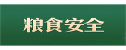 习言道｜走到田间地头，总书记说完夏粮说秋粮