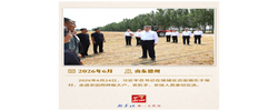 学习进行时｜感悟总书记的“三农情怀”