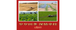 近镜头｜岁岁田垄 深情牵挂