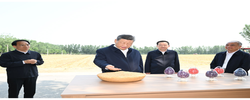 记者手记｜根脉在大地上，力量在人民中