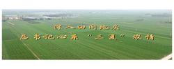 学习·知行丨深入田间地头 总书记心系“三夏”农情