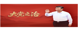 大党之治