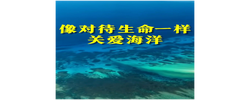 微视频｜像对待生命一样关爱海洋