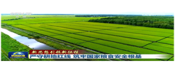【新思想引领新征程】严守耕地红线 筑牢国家粮食安全根基