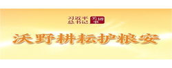 习近平总书记关切事丨沃野耕耘护粮安