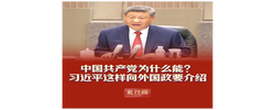 此行间·中国共产党为什么能？习近平这样向外国政要介绍
