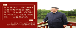 镜观·回响｜守护红树林 中国在行动