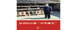 学习新语｜总书记心系“中华瑰宝”