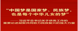 习近平总书记重要论述凝聚共同致力民族复兴强大力量