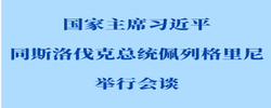习近平同斯洛伐克总统佩列格里尼会谈