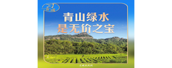 习言道｜走进茶园，习近平强调做好这篇“大文章”