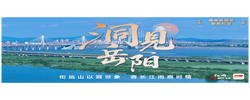 洞见岳阳丨打通“两业融合”通道，筑牢实业产才根基