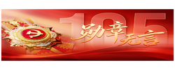 大党丨勋章无言