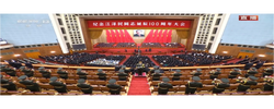 独家视频丨习近平：实现中华民族伟大复兴前景光明 梦想正一步步成为现实